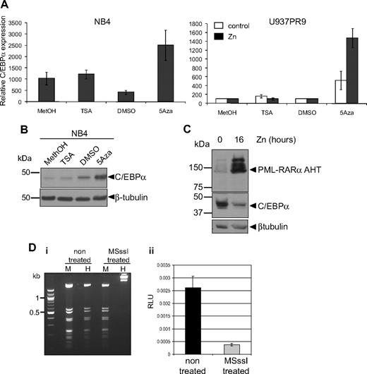 Figure 6. C/EBPα expression is repressed by methylation rather than by acetylation. (A) NB4 (left panel) or U937PR9 (right panel) treated (■) or not (□) every 24 hours with 100μM zinc (Zn) were treated for 72 hours with 1μM (NB4) or 5μM, respectively, 5-Aza or for 24 hours with 300nM TSA. C/EBPα mRNA expression was detected by quantitative real-time PCR and normalized to GAPDH expression. This graph is representative of 3 independent experiments. Methanol (MetOH) and dimethyl sulfoxide are vehicle controls for TSA and 5-Aza, respectively. (B) C/EBPα protein was assessed in NB4 cells treated with TSA or 5-Aza by Western blot. Equal loading of the protein was assessed with β-tubulin. (C) Western blot of C/EBPα protein in U937MT PML-RARα AHT mutant cells either untreated or treated for 16 hours with 100μM Zn. Equal loading was assessed with an antibody against β-tubulin. (D) In vitro methylation represses C/EBPα promoter activity. (Di) A vector expressing luciferase driving by C/EBPα promoter sequence was treated in vitro with the CpG methyltransferase MSssI. Efficiency of the methylation was assessed by digesting the non–MSssI-treated and the MSssI-treated vector with a methylation-insensitive enzyme MspI (M) and a methylation-sensitive enzyme, HpaII (H). (Dii) U937 cells were electroporated with the methylated (MSssI) or untreated vector (nontreated) driving luciferase activity. Shown are relative luciferase units (RLU) representing the ratio between the firefly activity driven by the C/EBPα promoter before and after methylase treatment normalized to the CMV Renilla activity driven by a control vector.26 When the C/EBPα promoter was methylated, relative luciferase activity was decreased by 85% compared with the activity obtained with the unmethylated vector (P < .001).