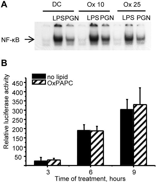 Figure 5. OxPAPC does not inhibit NF-κB activation. (A) Immature DCs or DCs differentiated in the presence of 10 (Ox 10) or 25 (Ox 25) μg/mL OxPAPC were stimulated with LPS or PGN. After 70 minutes, total nucleoprotein was extracted. 32P-labeled oligonucleotides containing a NF-κB consensus sequence were incubated at room temperature with 5 μg of nuclear extracts, followed by nondenaturating gel electrophoresis. Similar results were obtained in 2 independent experiments. (B) HEK 293 cells were transfected with a constitutively active TLR4 and a 5xNF-κB firefly luciferase reporter construct. A Renilla reporter plasmid was cotransfected. Firefly luciferase activity with or without addition of OxPAPC (50 μg/mL) was determined after the indicated time points and normalized to Renilla luciferase. Data are presented as mean values ± SD of 3 independent experiments.