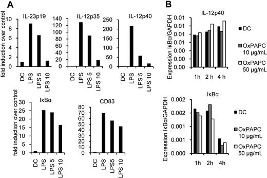 Figure 6. OxPAPC differentially inhibits induction of activation-associated genes. DCs were stimulated with LPS (100 ng/mL) with or without pretreatment for 20 minutes with the indicated amounts of OxPAPC (5 or 10 μg/mL, LPS 5 and LPS 10, respectively) for 1 hour, and RNA was isolated and (A) IL-23p19, IL-12p35, IL-12p40, IκBα, and CD83 mRNA expression was determined by RT-PCR. (B) DCs were stimulated with LPS for 1 hour and subsequently treated with actinomycin D. They were then stimulated with the indicated amounts of OxPAPC for 1, 2, and 4 hours, and the abundance of the indicated mRNAs/glyceraldehyde-3-phosphate dehydrogenase (GAPDH) were determined by RT-PCR. Data are representative of 2 independent experiments.