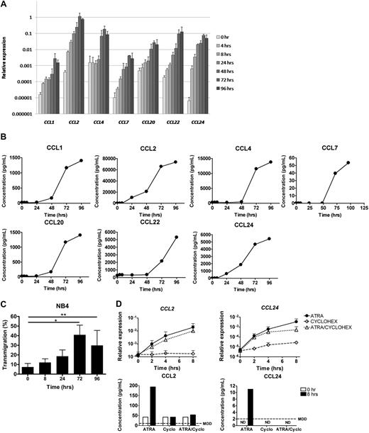 Figure 1. ATRA induces expression of CCLs in NB4 cells. NB4 cells were cultured with ATRA (10−6 M) for 0, 4, 8, 24, 48, 72, and 96 hours. (A) CCL mRNA expression (mean ± SD of 3 independent experiments) was determined at the indicated time points by quantitative PCR. Expression, relative to GAPDH, is plotted. (B) CCL protein levels (mean of 2 independent experiments) were determined in supernatant of NB4 cells at the indicated time points using ELISA. (C) The effect of ATRA on chemoattraction of normal WBCs toward the supernatant of ATRA-stimulated NB4 cells. The percentages of migrated WBCs (mean ± SD of 4 independent experiments) were determined before and 8, 24, 72, and 96 hours after ATRA stimulation of NB4 cells, using a transwell system. *P < .001, **P < .05 compared with supernatant of untreated NB4 cells. (D) Direct regulation of CCL2 and CCL24 by ligand-activated retinoic acid receptors in NB4 cells. NB4 cells were cultured with ATRA alone (10−6 M), with cycloheximide alone (50 μg/mL), or with the combination of ATRA and cycloheximide for 0, 2, 4, and 8 hours. mRNA expression of CCL2 and CCL24 (top panels, mean ± SD of 3 independent experiments) was determined at the indicated time points by quantitative PCR. Expression, relative to GAPDH, is plotted. Protein levels of CCL2 and CCL24 (bottom panels) were measured in supernatant of NB4 cells before and 8 hours after treatment with ATRA and/or cycloheximide using ELISA. ND indicates not detectable; and MDD, minimal detectable dose, according to the manufacturer.