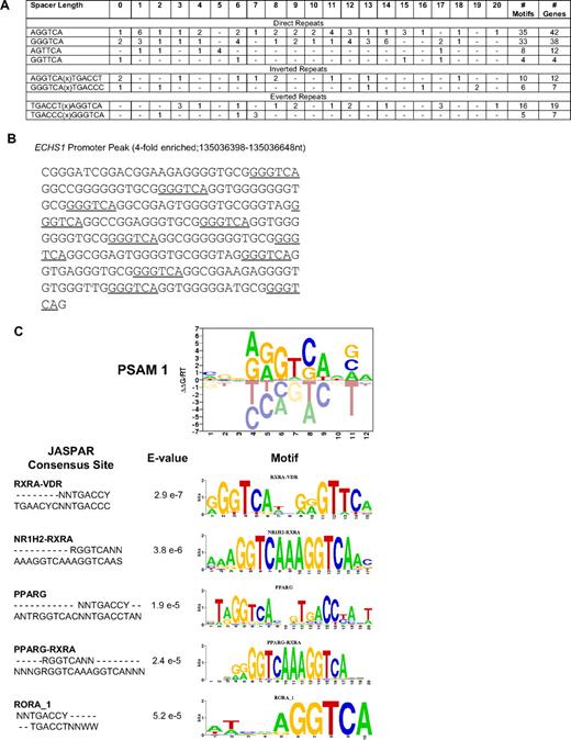 Figure 3. PLZF-RARα binds an extended repertoire of RAREs. (A) The frequency of consensus RAREs (PuG(G/T)TCA)(0-20 bp)(PuG(G/T)TCA) in PLZF-RARα–bound promoters (4916 genes) was calculated. The total number of RAREs and genes containing RAREs are shown to the far right. The frequency of spacer lengths corresponding to each RARE was also calculated. (B) The ECHS1 promoter peak contains multiple RAREs (underlined). (C) MATRIXReduce was used to identify consensus motifs in PLZF-RARα–enriched peak sequences (2/3 biologic replicates, FDR < 0.2, differentially expressed > 1.5-fold, P < .05; 1672 genes). The top-scoring motif identified in PLZF-RARα–bound promoters was most similar to nuclear hormone receptor binding sites containing the RARE (A/G)GGTCA half site.