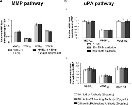 Figure 5. EMMPRIN up-regulates VEGF and VEGFR-2 in a MMP- or uPA-independent manner. (A) HMEC-1 cells were incubated for 12 hours with 20μM marimastat in serum-free medium before treatment with Emp for 2 hours. VEGF121, VEGF165, VEGF189, and VEGFR-2 transcripts were quantified by qRT-PCR. (B) HMEC-1 cells were incubated with 25nM amiloride (i) or 50 μg/mL anti-uPA blocking antibody (ii) for 10 hours and 24 hours in serum-free medium. VEGF121, VEGF165,VEGF189, and VEGFR-2 transcripts were quantified by qRT-PCR. Columns indicate means of relative expression to TBP housekeeping gene of at least 3 independent experiments; and bars, SD.