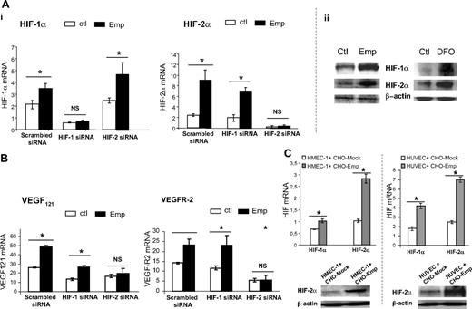 Figure 6. EMMPRIN up-regulates VEGF and VEGFR-2 through HIF stimulation. (A) EMMPRIN up-regulates HIF-1α and HIF-2α under normoxic conditions. (i) HMEC-1 cells were transfected with HIF-1α, HIF-2α siRNA, or scrambled siRNA before treatment with 20 μg/mL Emp for 1 hour. HIF-1α and HIF-2α transcripts were quantified by qRT-PCR. (ii) The cells were incubated with Emp or desferrioxamine (DFO). The HIF-1α and HIF-2α levels were detected by Western blotting. (B) EMMPRIN up-regulates VEGFR-2 and soluble VEGF isoforms via HIF-2α. HMEC-1 cells were transfected with HIF-1α, HIF-2α siRNA, or scrambled siRNA before treatment with Emp. VEGFR-2 and VEGF121 transcripts were quantified by qRT-PCR. Columns indicate means of relative expression to TBP housekeeping gene of at least 3 independent experiments; and bars, SD. *P < .05. (C) HMEC-1 and HUVECs cocultured with EMMPRIN- or mock-transfected CHO cells. Total RNA was extracted from cocultured cells. mRNA levels for HIF-1α and HIF-2α were quantified using qRT-PCR. Columns indicate means of relative expression to TBP housekeeping gene of at least 3 independent experiments; and bars, SD. *P < .05. Cocultured cell lysates were immunoblotted for HIF-2α (β-actin was used as loading control). Representative blots of 3 independent experiments.