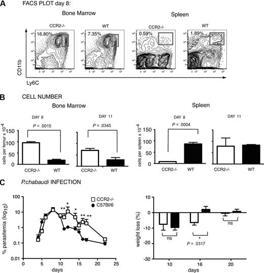 Figure 2. Sustained acute-stage parasitemia and delayed weight gain in P chabaudi–infected C57Bl/6 CCR2−/− mice compared with WT mice. (A) Contour plots showing CD11b and Ly6C expression in bone marrow (left) and spleen (right) of CCR2-deficient and WT C57Bl/6 mice infected for 8 days with P chabaudi. Number indicates percentage of CD11bhighLy6Chigh bone marrow monocytes within the region shown. The same gating strategy as described in Figure 1 was used to obtain the CD11b versus Ly6C contour plots of the spleen cells. Number indicates percentage of CD11bhighLy6C+ monocytes in the gated populations. (B) Total numbers of CD11bhighLy6Chigh monocytes in the bone marrow (left) and the CD11bhighLy6C+ monocytes in the spleen (right) of CCR2−/− (□) and WT C57Bl/6 (■) mice after 8 and 11 days of infection. The values shown represent the means and SEMs of 4 mice. P values are shown (Student t test). (C) Parasitemia (left) and body weight (right) in P chabaudi–infected CCR2−/− (open symbols) and WT (closed symbols) C57Bl/6 mice. Mice were infected intraperitoneally with 105 iRBCs, and the course of infection and weight was followed for 22 days. Weight is expressed as the percentage of the starting weight at day 0. Significant differences: *P = .001-.01, **P = .01-.05 (Mann-Whitney test) between WT and CCR2−/− mice. The values shown represent the means and SEMs of 5 to 10 mice in each group.
