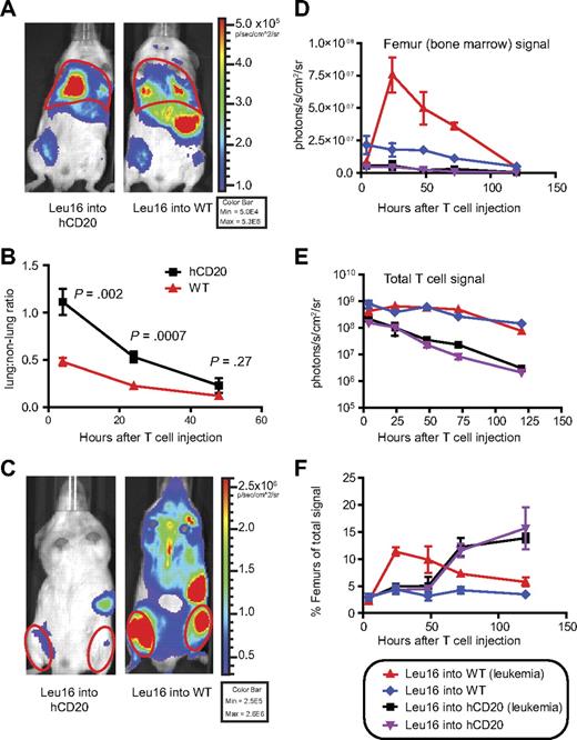 Figure 3. Expression of CD20 on normal B cells alters the trafficking and survival of CD20-specific cTCR+ T cells. (A) Bioluminescent imaging of 107 CBR+Leu16+Thy1.1+CD8+ T cells 4 hours after intravenous injection into WT or hCD20 mice. (B) The lung-to-nonlung bioluminescent ratio was calculated for mice injected with 107 CBR+Leu16+Thy1.1+CD8+ T cells after various time intervals. Data from 2 experiments were overlaid, comprising 7 to 10 mice per time point. Red outlines in panels A and C are representative of regions of interest for signal quantitation. (C) Bioluminescent image of mice 48 hours after T-cell injection. (E) Serial quantitation of T-cell bioluminescent signal from the femurs in panel D, and the entire mouse in panel E was performed over time. (F) The relative T-cell signal originating from the femurs was calculated by division of total signals from femurs by total signals from mice. The data are representative of 2 experiments with 3 to 5 mice per group each. Data points represent mean ± SE. P values were obtained by 2-tailed t tests. Bioluminescent images were assembled with the use of Illustrator (Adobe Systems).