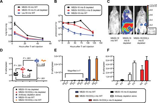 Figure 6. B-cell depletion with anti-hCD20 antibodies promotes CD20-specific cTCR+ T-cell survival and function. (A) Calculation of lung-to-nonlung bioluminescent signal ratio from mice injected intravenously with 2 × 107 CBR+cTCR+Thy1.1+CD8+ T cells. Data from 2 experiments were overlaid, comprising 7 to 8 mice per time point. (B) Serial quantitation of T-cell bioluminescent signal from mice injected with cTCR+ T cells. Data are representative of 2 experiments with 3 to 4 mice per group. Data points represent mean ± SE. (C) Bioluminescent image of mice from panel B 72 hours after injection. (D-F) Five days after CBR+cTCR+Thy1.1+CD8+ T cells were injected into untreated or B cell–depleted mice, spleens were harvested, and the remaining CD19+ B cells were enumerated. (D) 1F5 (200 μg) was injected into hCD20 mice 4 days before T-cell injection. Horizontal lines represent the mean of the data. (E) Quantitation of MZ and follicular (FO) B cells. Bar graphs represent mean ± SE. Combined data from 2 experiments with 3 to 4 mice per group are shown (D-E). Bar graphs and data points represent mean ± SE. (F) Magnification of panel E. P values were obtained by 1-way ANOVA with a Tukey post hoc test. Bioluminescent images were assembled with the use of Illustrator (Adobe Systems).