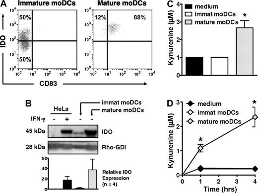 Figure 1. IDO protein expression and activity increase with maturation of human moDCs. (A) IDO protein expression was assessed by flow cytometry in immature, CD83neg moDCs and in mature, CD83+ moDCs. Data are representative of 1 of 10 experiments. (B) IDO protein expression was assessed by Western blot in cell extracts from immature and mature moDCs. Untreated and IFN-γ–treated HeLa cells served as negative and positive controls, respectively. A representative blot from 1 experiment is shown along with pooled densitometry data from 4 separate experiments (mean ± SD; P = NS) showing relative IDO expression between groups. Densitometry values for each group were normalized to Rho-GDI (internal control). Relative IDO expression indicates fold increase above baseline IDO expression in untreated HeLa cells. (C) Supernatants from equal numbers of immature and mature moDCs were resuspended in tryptophan-enriched medium and tested after 4 hours by HPLC for production of the tryptophan catabolite, kynurenine, as an index of IDO activity (average of triplicate means ± SEM, n = 4 independent experiments). *P < .01 vs immature moDCs. (D) Kynurenine concentrations were determined by a spectrophotometric assay at 1 and 4 hours, using culture parameters identical to those in panel C (average of triplicate means ± SEM, n = 3 independent experiments). *P < .001 vs immature moDCs.