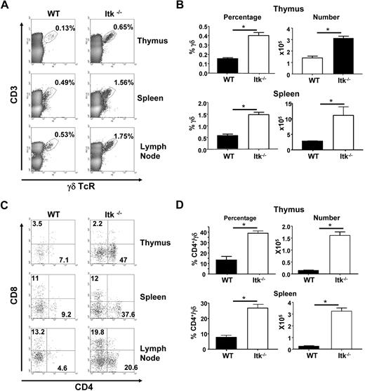 Figure 1. Increased γδ T cells in mice lacking Itk. (A) Flow cytometric analysis of γδ T cells in the thymus, spleen, and lymph node of WT and Itk−/− mice. (B) The percentage and absolute number of γδ T cells were calculated from thymus and spleen. (C) Flow cytometric analysis of CD4 and CD8 populations of CD3+γδTCR+ cells in the thymus, spleen, and lymph nodes of WT and Itk−/− mice. (D) The percentage of CD4+ γδ T cells, as well as the absolute number of CD4+ γδ T cells in the thymus and spleen of WT and Itk−/− mice (n > 10 mice). *P < .01.