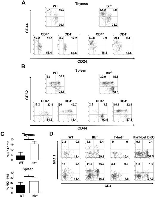 Figure 2. Surface phenotype of CD4+ γδ T cells from WT and Itk−/− mice. (A) Thymocytes from WT and Itk−/− mice were gated on either CD3+γδTCR+ cells (top) or CD4+CD3+γδTCR+ cells and CD4−CD3+γδTCR+ cells (bottom), and analyzed for the expression of CD44 and CD24. (B) Splenocytes from WT and Itk−/− mice were gated on either CD3+γδTCR+ (top) or CD4+CD3+γδTCR+ cells and CD4−CD3+γδTCR+ cells (bottom) and analyzed for the expression of CD62L and CD44. NK1.1 is expressed but is not required for the development of CD4+ γδ T cells in WT and Itk−/− mice. (C) Thymocytes and splenocytes from WT and Itk−/− mice were analyzed for the percentage of NK1.1+γδ T cells by flow cytometry (n = 7 or 8 mice). *P < .01. (D) γδTCR+CD3+ cells in the thymus and spleens of WT, Itk−/−, T-bet−/−, or T-bet/Itk DKO mice were analyzed for the expression of CD4 and NK1.1 by flow cytometry. Data are representative of 2 independent experiments.