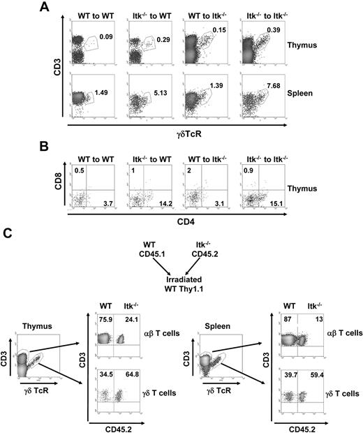 Figure 3. Enhanced development of γδ T cells in the absence of Itk is bone marrow intrinsic. Thy1.1+WT or Thy1.1+Itk−/− bone marrow was intravenously injected to irradiated Thy1.2 WT and Itk−/− mice. Eight weeks later, the percentage of CD3+γδTCR+ cells of donor WT and Itk−/− cells (A) and the percentage of CD4 and CD8 population on donor γδ T cells (B) were analyzed. Data are representative of 2 independent experiments. (C) The 1:1 mixtures of bone marrow from CD45.1/Thy1.2 congenic WT mice and CD45.2/Thy1.2 congenic Itk−/− mice were intravenously injected to irradiated Thy1.1 WT mice. Eight weeks later, the percentage of CD3+γδTCR+ cells of donor WT and Itk−/− was analyzed. Data are representative of 3 mice.