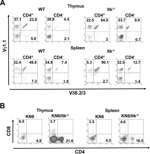 Figure 5. Itk null CD4+ γδ T cells develop independent of the γδ TCR they express. (A) γδ T cells in the thymus and spleens of WT and Itk−/− mice were analyzed for the expression of Vγ1.1 and Vδ6.2/3. Data are representative of 3 independent experiments. (B) γδ T cells in the thymus and spleens of KN6 transgenic mice, or KN6 transgenic mice lacking Itk, were analyzed for the expression of CD4 and CD8. Data are representative of 2 independent experiments.