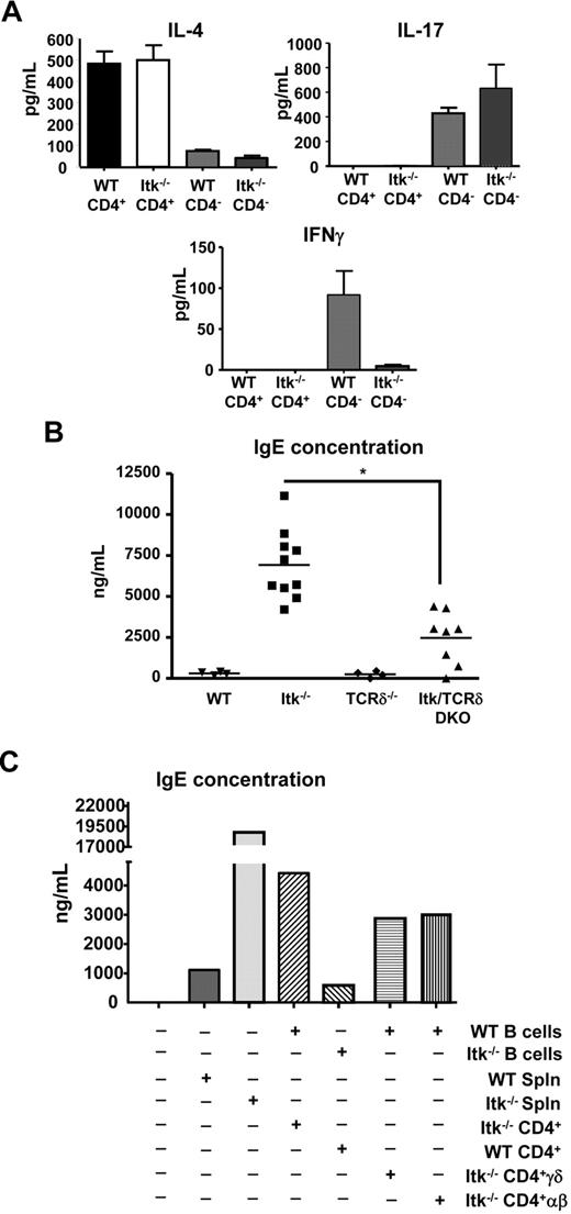 Figure 6. Itk null CD4+ γδ T cells secrete IL-4 and induced B-cell class switch to IgE. (A) Sorted CD4+CD3+γδTCR+ cells and CD4−CD3+γδTCR+ cells from WT and Itk−/− mice were stimulated with anti-γδTCR for 3 days. Supernatants were then analyzed for IL-4, IFN-γ, and IL-17. Data are representative of 3 independent experiments. Serum concentrations of IgE antibody in unimmunized mice. (B) Sera from the indicated mice were analyzed for IgE concentration. *P < .05. (C) Rag−/− mice were reconstituted with different groups of B cells and T cells as indicated. Sera were analyzed for IgE 4 weeks after transfer.