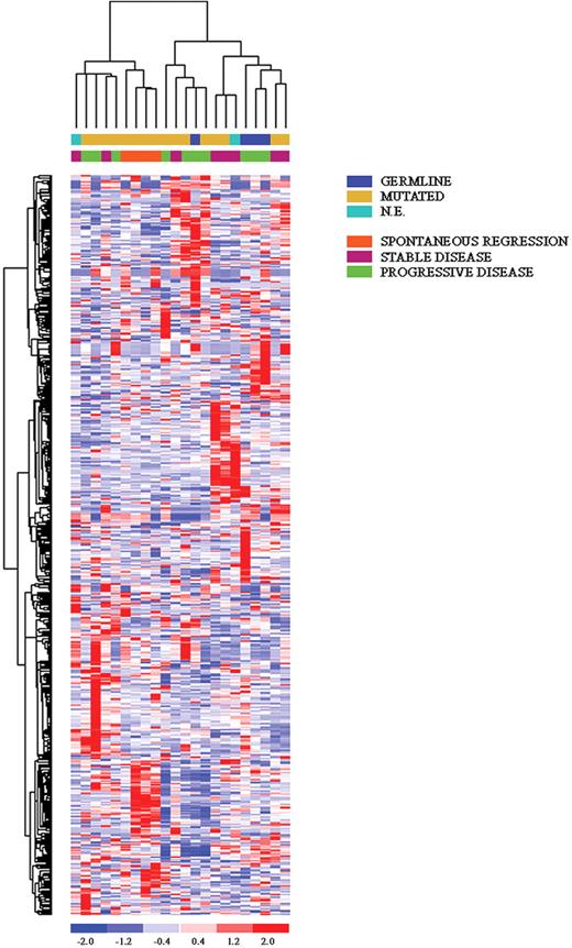 Figure 2. Unsupervised clustering of all CLL cases. The 4 spontaneous regression cases are labeled in orange. Relative levels of gene expression are depicted with a color scale: red indicates the highest levels of expression; blue, the lowest levels of expression.