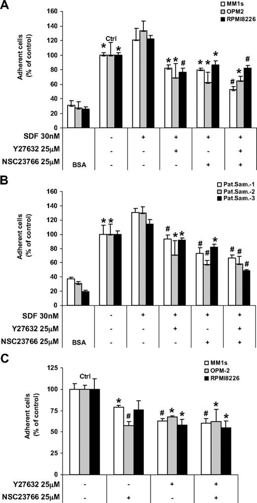 Figure 2. Effect of ROCK and Rac1 inhibitors on the SDF1-induced adhesion. Shown is the effect of ROCK and Rac1 inhibitors on the SDF1-induced adhesion of (A) MM cell lines and (B) plasma cells from MM patient samples to fibronectin and the adhesion of MM cell lines to BMSCs (C). Both the ROCK and Rac1 inhibitors decreased the adhesion of MM cells to fibronectin and BMSCs, and no additive effect was shown for their combination. Panels A and B: Groups compared with the corresponding SDF1-treated group. Panel C: Groups compared with the control, *P < .05; #P < .01.
