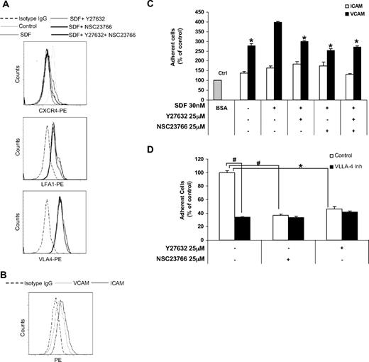 Figure 3. The effect of ROCK and Rac1 inhibitors on expression and function of adhesion molecules. (A) Effect of SDF1, ROCK, and Rac1 inhibitors on the expression of CXCR4, LFA1, and VLA4 detected by flow cytometry. It was shown that none of the inhibitors or their combination affected the internalization of CXCR4 induced by SDF1, and neither SDF1 nor any of the inhibitors affected the expression of LFA1 or VLA4 on MM1S cells. (B) The expression of ICAM and VCAM on BMSCs indicates that both molecules were expressed on BMSCs. (C) The adhesion of MM1S cells to plates coated with recombinant ICAM and VCAM shows that MM1S cells adhered to VCAM more than ICAM and that the inhibitors reduced only the adhesion of MM1S to VCAM. (D) The effect of ROCK and Rac1 inhibitors on the adhesion of MM1S cell to recombinant fibronectin in the presence or absence of VLA4 blocking antibody shows that none of the inhibitors had an additive effect beyond that of VLA4 blocking antibody. Panel C: groups compared with SDF1-treated group. *P < .05; #P < .01.
