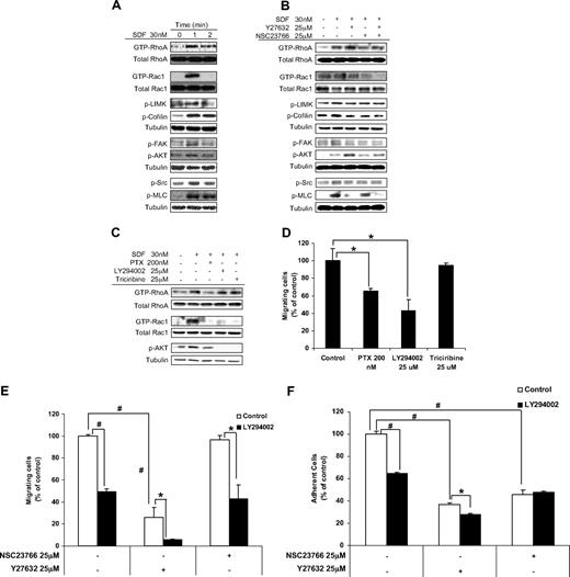 Figure 6. Characterization of the role of RhoA and Rac1 in cytoskeletal signaling. (A) The effect of SDF1 on the activation of key proteins in cytoskeletal signaling including RhoA, Rac1, LIMK, FAK, SRC, cofilin, MLC and AKT detected by immunoblotting. SDF1 was shown to induce fast activation of those proteins 1 minute after treatment. (B) The effect of ROCK and Rac1 inhibitors on the activation of cytoskeletal proteins, detected by immunoblotting. (C) The effect of inhibitors of coupling of G-protein, PI3K, and AKT on the SDF1-induced activation of RhoA and Rac1 GTPases, detected by immunoblotting. (D) The effect of inhibitors of coupling of G-protein, PI3K, and AKT on the SDF1-induced chemotaxis of MM1S cells. The effect of ROCK and Rac1 inhibitors on MM cell (E) chemotaxis and (F) adhesion to fibronectin induced by SDF1 in the presence or absence of PI3K inhibitor. *P < .05; #P < .01.