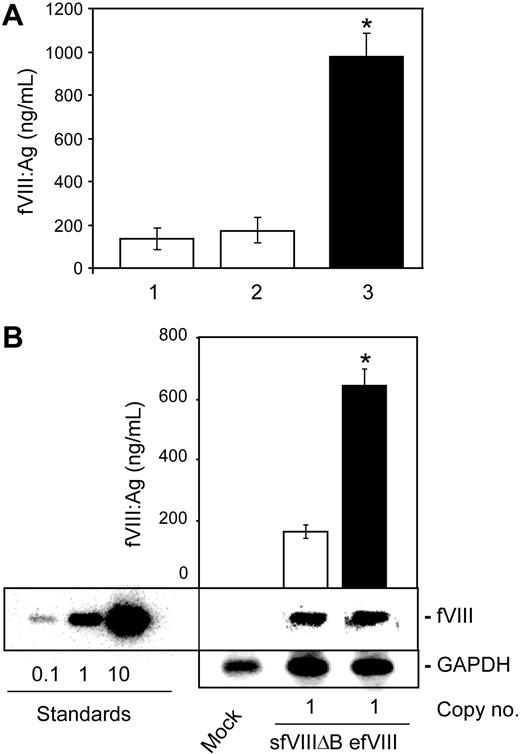 Figure 2. efVIII variant is expressed more efficiently than sfVIIIΔB in 293T and K562 cells. (A) efVIII and sfVIIIΔB expression levels in transiently transfected 293T cells. 293T cells were transiently transfected using 10 μg MSGV-sfVIIIΔB (column 1), FB.sfVIIIΔB (column 2), or FB.efVIII (column 3) plasmid DNAs. At 36 hours later, the conditioned medium was assayed for fVIII antigen levels. *Significantly higher levels (P < .001). (B) efVIII and sfVIIIΔB expression levels in stably transduced K562 cells. K562 cells were transduced with the FB.efVIII or MSGV-sfVIIIΔB vectors at an MOI of 1. DNA was isolated from the transduced cells 2 weeks later, digested with ApaI and BstBI, and subjected to Southern blot analysis. Pools of stably transduced cells with an average of one vector copy per cell were selected and their conditioned medium assayed for fVIII antigen levels. The standards were generated by digesting MSGV-sfVIIIΔB plasmid DNA in amounts equivalent to 0.1, 1, and 10 vector copies per cell. Vector copy numbers were calculated by PhosphoImager quantification and comparison with copy number standards and normalization to GAPDH controls. The approximate vector copy numbers per cell are indicated below the lanes. fVIII antigen levels were determined by a commercial ELISA (fVIII:C Ag). Data presented are the mean values of several independent experiments (n = 3) ± SDs. *Significantly higher levels (P < .001).