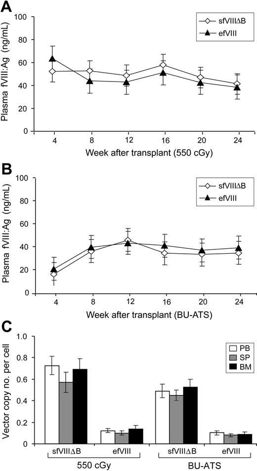 Figure 4. fVIII expression and vector copy number analysis in hemophilia A mice following reduced-intensity TBI or BU-ATS conditioning regimens. Human efVIII and sfVIIIΔB antigen (fVIII:Ag) levels in the plasma of 550 cGy TBI–conditioned (A) or BU-ATS–conditioned (B) hemophilia A mice that received BM cells transduced with FB.efVIII- or MSGV-sfVIIIΔB vectors (at 0.5 MOI × 3 cycles and 5 MOI × 3 cycles, respectively), as measured by ELISA and presented as mean values ± SDs at various time points after transplantation. (C) Vector copy number in the genomic DNA of PB, spleen (SP), and BM cells was quantified by real-time PCR using human fVIII-specific primers at 6 months after transplantation. The vector copy numbers per cell for mice that received MSGV-sfVIIIΔB–transduced BM cells were significantly higher than those that received the FB.efVIII-transduced BM in both the 550 cGy TBI–conditioned (P = .004) and BU-ATS–conditioned (P = .001) groups. Data presented are the mean values of 2 independent experiments ± SDs.