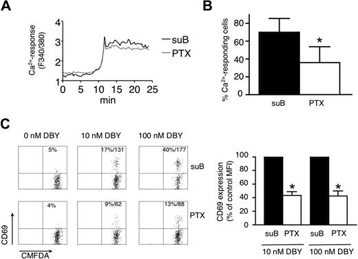 Figure 6. Antigen-induced T-cell responses measured in PLN slices are decreased by PTX. (A) Average Ca2+ responses of Marylin TCR-tg CD4+ T cells incubated with suB or PTX and stimulated with DBY peptide. Fura-2-loaded T cells were incubated for 10 minutes with 100 ng/mL suB (black line) or PTX (gray line), washed, and overlaid on PLN slices. Time-lapse imaging was started 2 hours after suB or PTX treatment. After several minutes of imaging, the preparation was perfused with a solution containing 100 nM DBY peptide. Ca2+-signals of responding T cells were synchronized at the rising phases of the response. (B) Percentage of Ca2+-responding CD4+ T cells induced by DBY peptide (100 nM). Mean plus or minus SD of 3 independent experiments in which more than 50 cells were analyzed per experiment. *P < .05. (C) CD69 expression measured by flow cytometry on T cells activated within PLN slices. Marylin CD4+ TCR-tg T cells were incubated with 100 ng/mL of suB or PTX, labeled with CMFDA and overlaid on PLN slices. Two hours after DBY peptide treatment, slices were mechanically dissociated and recovered cells stained with anti–CD69-PE and anti–CD45.1-PE-Cy5 Abs. Results in the left panel are representative of 3 independent experiments and show percentage and MFI of CD69+ cells. The right panel shows combined MFI of CD69 expression after normalization to the value of suB-treated T cells. *P < .05.