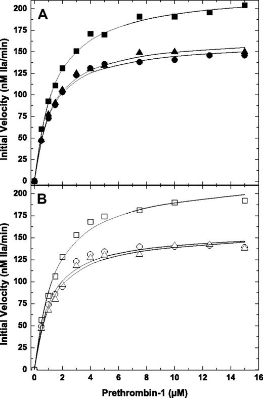 Figure 3. Prethrombin-1 activation in the presence or absence of PCPS. The initial velocity of thrombin generation was determined at increasing concentrations of prethrombin-1 in the presence (A) or absence (B) of 50 μM PCPS and 3 μM DAPA with 0.1 nM pt-FXa and 20 nM pt-rFV (● or ○), pt-rFV-QQ (▲ or △), or pt-rFVa (■ or □). The lines were drawn after analysis of all datasets to a rectangular hyperbola, and the fitted kinetic constants can be found in Table 1. The data are representative of 2 similar experiments.