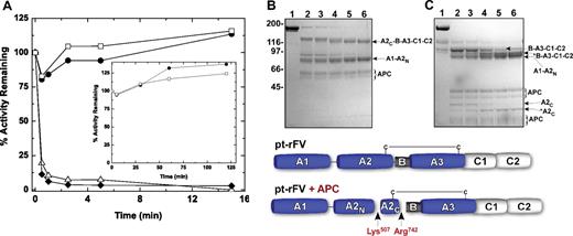 Figure 4. Inactivation of FV(a) by APC. Reaction mixtures containing 50 μM PCPS and 500 nM pt-rFV (●), pt-rFVa (□), hFV-810 (⧫), or rFVa (△) were incubated with either 10 nM or 750 nM (inset) APC. At selected time intervals, samples were removed for cofactor activity (A) or SDS-PAGE under nonreducing (B) or reducing conditions (C). Protein bands subjected to N-terminal sequence analysis are marked and annotated according to the scheme below the gels: A2C-B-A3-C1-C2, 508-1430; A1-A2N, 1-507; B-A3-C1-C2, 743-1430; A2C, 508-742. We speculate that *B-A3-C1-C2 and *A2C are cleaved at their C-terminal ends because their N-terminal sequence was determined to be the same as B-A3-C1-C2 and A2C, respectively. APC can be visualized and is denoted by a brace. The functional measurements and gels are representative of 2 similar experiments.
