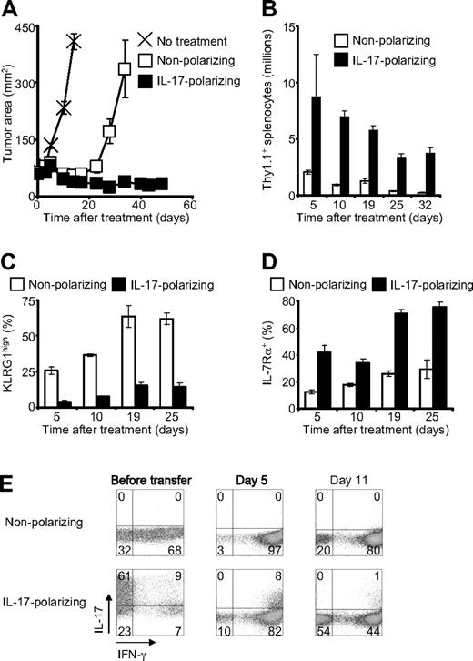 Figure 2. Type 17–polarized CD8+ T cells mediated enhanced antitumor immunity and demonstrated greater persistence. A total of 106 pmel-1/Thy1.1 CD8+ T cells were adoptively transferred into mice bearing established, vascularized B16F10 melanomas. Recipient mice were pretreated with 5 Gy total body irradiation, and they received adjuvant vaccine and IL-2 in conjunction with cell therapy.16 (A) Serial tumor measurements were obtained and tumor areas were calculated. Error bars indicate the SEM (N = 5). The experiment shown is representative of 3 independent experiments. (B) Expansion and persistence of adoptively transferred cells. The spleens of 3 mice per condition were examined at each time point. Error bars represent the SEM. (C-D) Expression of killer cell lectin-like receptor G1 and IL-7Rα by transferred cells after infusion as determined by flow cytometry gated on Thy1.1+ cells. The data represent 3 spleens per condition at each time point. Error bars represent the SEM. (E) Flow cytometric determination of intracellular cytokines after infusion. The dot plots are gated on Thy1.1+ cells from a pool of 3 spleens per condition at each time point.