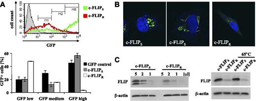 Figure 5. Enhanced mRNA translation of c-FLIPS over c-FLIPR. (A) GFP-tagged c-FLIPS or c-FLIPR was transiently overexpressed in 293T cells. Differences in protein expression were determined by evaluating the GFP fluorescence intensity via FACS analysis. For relative quantification of low (M1), medium (M2), and high (M3) GFP-c-FLIP expression levels gates were set as indicated. (B) HeLa cells were transiently transfected with either GFP-c-FLIPS or GFP-c-FLIPR; 24 hours after transfection, the cells were fixed and stained with DAPI (blue). Subsequently, samples were analyzed by confocal laser scanning microscopy. (C left panel) Coupled in vitro transcription/translation of c-FLIPS and c-FLIPR. 5, 2, or 1 μL of translated proteins were separated via SDS-PAGE and analyzed by Western blotting. The second (bottom) c-FLIP bands are probably caused by translational start at an internal methionine. (C right panel) c-FLIPS or c-FLIPR were in vitro transcribed and then equal RNA amounts were applied for an in vitro translation assay. Protein levels of the 2 c-FLIP isoforms were determined by Western blot.