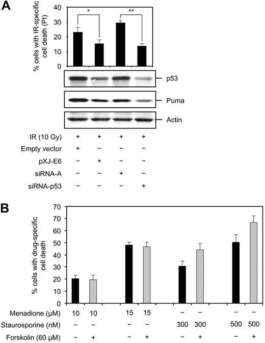 Figure 6. p53 is required for the inhibitory effect of cAMP on IR-induced apoptosis. (A) Reh cells were transfected with the pXJ-E6 plasmid expressing the HPV16-strain E6-protein, empty vector, siRNA-p53, or control siRNA-A. Cells were then exposed to 10 Gy IR or left untreated. After 12 hours, a portion of the cells was stained with PI for cell death analysis, and the remaining portion was subjected to immunoblotting with the indicated antibodies (n = 3). *P < .05; **P < .01. (B) Reh cells were incubated with or without forskolin for 30 minutes before addition of menadione or staurosporine, and examined for PI uptake after 18 hours. Because menadione interferes with PI fluorescence, the shift in scatter profile was used to discriminate between dead and viable menadione-treated cells (menadione, n = 3; staurosporine, n = 4).