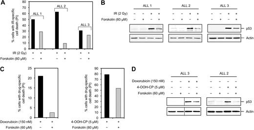 Figure 7. Suppression of DNA damage–induced p53 accumulation and cell death in primary BCP-ALL cells by cAMP. (A) BCP-ALL cells isolated from bone marrow aspirates of 3 patients with pediatric BCP-ALL (ALL 1, ALL 2, and ALL 3) were treated with or without forskolin for 30 minutes before irradiation with 2 Gy. After 18 hours of incubation, cell death was assessed by costaining the cells with FITC-conjugated anti-CD19 antibodies and PI and analyzing PI uptake in the CD19+ subpopulation. (B) A portion of ALL cells in panel A were harvested 4 hours after IR treatment and subjected to Western blot analysis with p53 and actin antibodies. (C) ALL 1 cells were treated with or without forskolin for 30 minutes before addition of doxorubicin or 4-OOH-CP. Cells were then cultured for 18 hours before costaining with FITC-conjugated anti-CD19 antibodies and PI followed by FACS analysis as described in panel A. (D) ALL 3 and ALL 2 cells were treated with or without forskolin for 30 minutes before addition of doxorubicin or 4-OOH-CP, respectively. After 4 hours, cells were harvested and subjected to Western blot analysis with the indicated antibodies. Vertical lines have been inserted to indicate repositioned gel lanes.