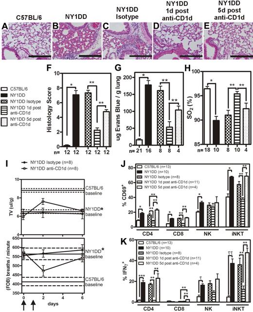 Figure 2. Lungs of NY1DD mice have histologic evidence of inflammation and impaired function that can transiently be improved by anti-CD1d treatment. (A-E) Representative images of H&E-stained lungs. Scale bars represent 200 μm. (F) Histopathologic scores (1-8, see “Methods”) calculated by analysis of H&E-stained mouse lungs. (G-H) Vascular permeability is increased and arterial oxygen saturation is reduced in NY1DD mouse lungs at baseline compared with C57BL/6. Pulmonary dysfunction in SCD is inhibited 1 day, but not 5 days, after injection of anti-CD1d antibodies. (I) NY1DD mice have significantly impaired breathing (decreased tidal volume and increased frequency of breathing) compared with C57BL/6 mice (P < .001). The lines represent the mean (± SEM) baseline breathing parameters. In NY1DD mice, breathing parameters are improved 1 day, but not 5 days, after injection of anti-CD1d antibodies. Arrows indicate times of anti-CD1d injections. (J-K) NY1DD mice have increased CD69 surface expression and intracellular IFN-γ levels on pulmonary lymphocytes that decrease 1 day, but not 5 days, after treatment with anti-CD1d. The numbers on the x-axis (F-H,J-K) represent the number of animals for that group. C57BL/6 and NY1DD groups were evaluated by an unpaired Student t test (*P < .001; ***P = .001; τP = .002; ττP = .001). NY1DD-treated mice were analyzed by one-way ANOVA with Neuman-Keuls posttesting (**P < .05). Breathing parameters were analyzed by 2-way ANOVA with Bonferroni posttesting. Histologic grading was analyzed with either a nonparametric t test (Mann-Whitney; *P < .001) or a nonparametric Kruskal-Wallis test with Dunns posttesting (**P < .05). SO2 inidcates arterial oxygen saturation; FOB, frequency of breathing; and TV, tidal volume.