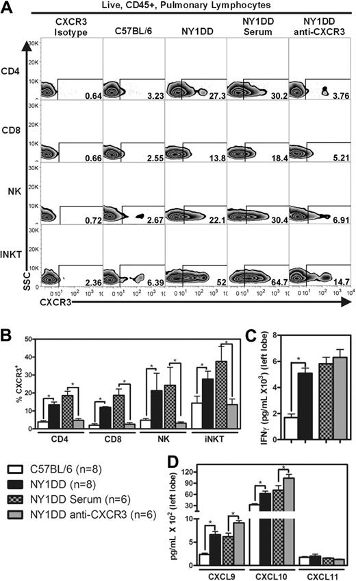 Figure 4. NY1DD mice have increased pulmonary lymphocyte expression of CXCR3 and increased whole lung expression of IFN-γ and IFN-γ–inducible chemokines. (A) Representative flow cytometry plots of CXCR3 expression on pulmonary lymphocytes from C57BL/6, NY1DD, NY1DD treated with goat serum, and NY1DD treated with goat anti-CXCR3 serum. (B) Pulmonary lymphocytes from NY1DD mice express significantly increased levels of CXCR3 compared with C57BL/6 mice. NY1DD animals treated with anti-CXCR3 display significantly decreased expression of CXCR3 on pulmonary lymphocytes. (C-D) Pulmonary homogenates from NY1DD animals have significantly increased levels of IFN-γ and IFN-γ–inducible chemokines (CXCL9 and CXCL10). NY1DD animals treated with anti-CXCR3 have significantly elevated levels of IFN-γ–inducible chemokines (CXCL9 and CXCL10). Data were analyzed by one-way ANOVA with Neuman-Keuls posttesting (*P < .05).