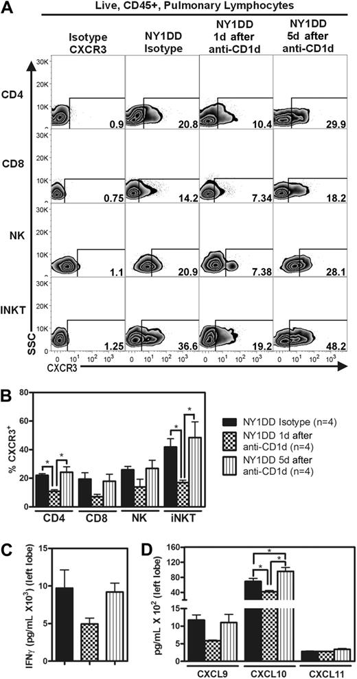 Figure 6. Anti-CD1d treatment decreases the percentage of pulmonary lymphocytes expressing CXCR3 and reduces lung homogenate levels of IFN-γ and IFN-γ–inducible chemokines. (A) Representative flow cytometry plots of CXCR3 expression on pulmonary lymphocytes from NY1DD isotype-treated, NY1DD 1 day after anti-CD1d treatment, and NY1DD 5 days after anti-CD1d treatment. (B) Pulmonary lymphocytes from NY1DD mice express decreased CXCR3 when harvested 1 day, but not 5 days, after anti-CD1d. (C-D) Pulmonary tissues harvested from NY1DD animals have reduced levels of IFN-γ and IFN-γ–inducible chemokines when harvested 1 day, but not 5 days, after anti-CD1d. Data were analyzed by one-way ANOVA with Neuman-Keuls posttesting (*P < .05).