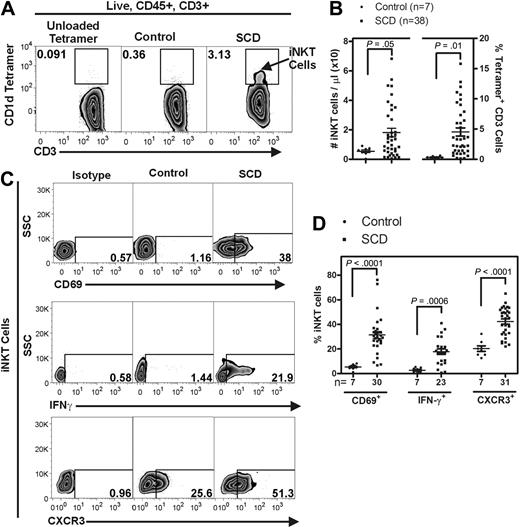 Figure 7. Persons with SCD have increased circulating iNKT cells that express activation markers. Fluorescently labeled CD1d tetramers were used to selectively label iNKT cells (defined as tetramer+ CD3+) in the blood of persons with SCD (HbSS) and appropriate age- and race-matched controls. (A) Representative flow cytometry plots of circulating human iNKT cells. (B) iNKT cells were identified from the live, CD45+ lymphocyte gate as CD1d-tetramer+ CD3+ cells. Compared with controls, persons with SCD have a higher number of circulating iNKT cells. (C-D) iNKT cells from persons with SCD are more activated as defined by higher percentage of surface CD69 and CXCR3 and intracellular IFN-γ. Data were analyzed by an unpaired Student t test. SSC indicates side scatter.