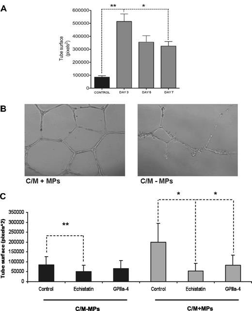 Figure 7. Platelet MPs mediate the proangiogenic effect. (A) The proangiogenic effect of conditioned medium from EPC cultures decreased over time, arguing against an outgrowth of a progenitor cell population. (B) The depletion of MPs from the conditioned medium (C/M-MPs) of EPC cultures reduced endothelial tube formation in the Matrigel assay. (C) The addition of the disintegrin echistatin and the inhibitory peptide GPIIIa-4 against the platelet integrin αIIb attenuated the proangiogenic effect of the conditioned medium in the presence of platelet MPs (C/M + MPs). *P < .05 level; **P < .01. Results were obtained in 3 independent experiments.