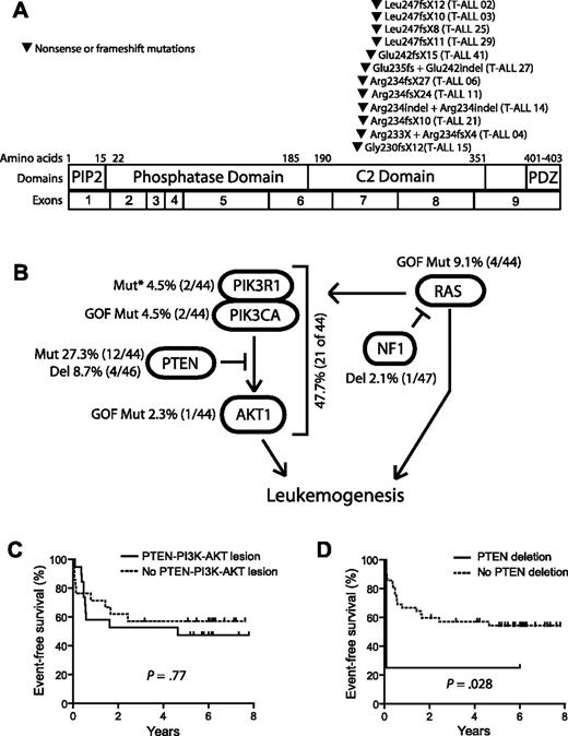 Figure 2. Mutations of PTEN and the PI3K-AKT pathway in T-ALL. (A) Sequencing of PTEN in 44 of the primary samples shown in Figure 1 identified nonsynonymous sequence alterations in 12 of these samples, all of which were predicted to disrupt the PTEN protein within an 18-amino acid region of the C2 domain. Note that the specific mutations in cases 14 and 27 were impossible to determine because of the presence of 2 simultaneous frameshift sequences. (B) Targeted sequencing of PIK3R1, PIK3CA, and AKT1-3 exons known to be mutated in human cancer identified nonsynonymous sequence alterations in PTEN and the PI3K-AKT pathway in 47.7% of primary T-ALL cases. Lesions within the PTEN-PI3K-AKT pathway were mutually exclusive. Abnormalities in the NF1 and RAS genes were also identified but were not solely associated with PTEN-PI3K-AKT pathway abnormalities. *Novel in-frame insertion/deletions. (C-D) Kaplan-Meier event-free survival curves for the 44 cases analyzed by CGH and sequencing demonstrate that, overall, genetic alterations of the PTEN-PI3K-AKT pathway did not predict event-free survival, whereas deletions of PTEN were significantly associated with early treatment failure.