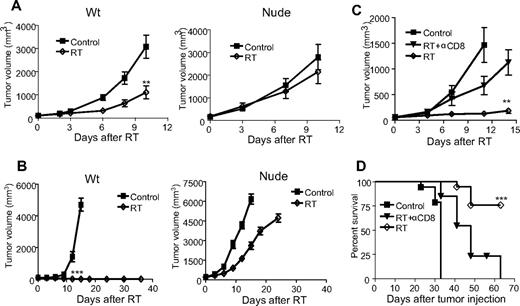 Figure 1. Immunodeficiency abrogates the antitumor effect of RT. (A) WT C57BL/6 or nude mice (n = 10) were injected with 2 × 106 B16 melanoma cells and treated 7 days later with 20 Gy. The radiation group in WT but not in nude mice showed significantly smaller tumor size (**P = .002 at day 10 after RT). (B) WT or nude mice (n = 8-12) were injected with 2 × 105 B16-SIY and treated 10 days later with 25 Gy. The radiation group showed significantly smaller tumor size (***P < .001 on day 12 after RT). A similar trend of the inhibition was also detected with single 20 Gy. A total of 60% WT mice were cured, whereas 100% nude mice die with 20 Gy. (C) Tumor growth curve and (D) survival for WT mice injected with 105 B16 and treated on day 14 with 15 Gy given on days 0, 1, and 2 after RT. A total of 200 μg/mouse anti-CD8 antibody was administered on days 0, 4, and 8 after RT (n = 5-9 per group). After RT plus depletion of CD8, the size of tumor increased significantly from RT alone (**P = .007 at day 14). Survival increased after RT (***P < .001), but with CD8 depletion survival was significantly reduced: *P < .05; **P < .01; ***P < .001. Similar experiments were repeated 3 times (A-D).