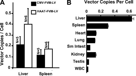 Figure 2. Quantitation of viral copy number in mouse organs after lentivector transduction. Mice were killed at various time points, and the number of integrated viral copies was determined by quantitative PCR analysis. Integrated transgene copy number is represented as copies per cell using the copy number of the murine β-actin sequence as an endogenous reference. (A) The mean viral copy numbers in livers and spleens from the mice 12 to 13 weeks posttemporal vein infusion with Lenti-CMV-cFVIII (n = 5) or Lenti-HCR/hAAT-cFVIII (n = 6). Error bars represent the SEM. (B) Mice treated intravenously with Lenti-HCR/hAAT-cFVIII were killed at 13 (n = 1) or between 30 and 32 (n = 4) weeks after treatment. Organ distribution of the vector was studied in liver, spleen, heart, lung, kidney, and small intestine isolated from 5 mice, as well as testis and white blood cells (WBCs) isolated from a single mouse. Plasma cFVIII:C expression in the mouse that was killed at 13 weeks was 1033 mU/mL, whereas no plasma cFVIII:C could be detected in the mice killed at 30 to 32 weeks (n = 4).