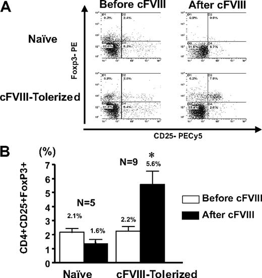 Figure 7. Immune tolerance to cFVIII is associated with a cFVIII-expandable population of CD4+CD25+Foxp3+ T cells. (A) A representative flow cytometric analysis obtained with CD4+ T cells, derived from the spleens of hemophilia A mice that received Lenti-HCR/hAAT-cFVIII as neonates (cFIII-Tolerized) or did not receive gene transfer and were not challenged intravenously with cFVIII (Naive) and that were challenged with FVIII. Isolated splenocytes were stained directly (Pre-cFVIII) for CD4+CD25+Foxp3+ or after 72 hours in vitro stimulation with cFVIII (Post-cFVIII). (B) Comparison of the mean percentage of CD4+CD25+Foxp3+ T cells within the CD4+ cell population from the tolerized and naive mice before and after in vitro cFVIII stimulation. Error bars represent SEM, and * indicates a significant (P < .01) increase in CD4+CD25+Foxp3+ T cells.