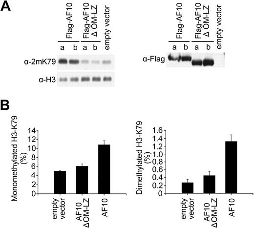 Figure 5. CALM-AF10 affects H3K79 methylation as a dominant-negative competitor of AF10. (A) Stable ectopic expression of AF10 in U937T cells containing CALM-AF10 restored H3K79 methylation. For each Flag-tagged expression construct, H3K79 methylation levels (left panel) after induction of the Flag-tagged proteins (right panel) were examined in 2 independent stable cell lines (denoted as a and b for each construct). (B) Mass spectrometry analysis of H3K79 methylation in total histone extracts prepared from stably transfected U937T cells with ectopic expression of AF10 or its OM-LZ deletion mutant.