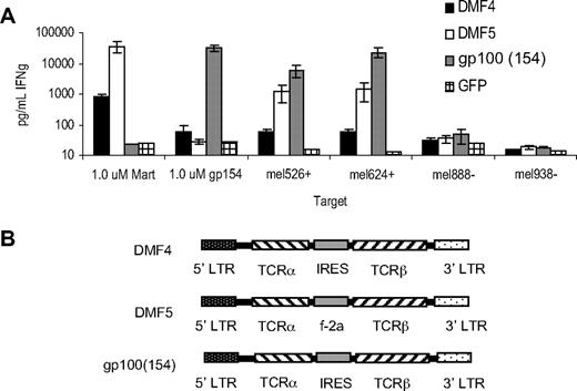Figure 1. Tumor-reactive DMF5 or gp100(154) alpha and beta TCR chain RNA electroporated into PBLs confer high reactivity to melanoma tumor antigens. (A) Ten-day anti-CD3–stimulated donor PBLs were electroporated with in vitro–transcribed RNA encoding paired DMF4, DMF5, or gp100(154) TCR alpha and beta chains, or GFP control. Cells were cocultured for 18 hours with T2 cells pulsed with peptide, HLA-A*02+ melanomas mel624+ or mel526+, or HLA-A*02− melanomas mel888− or mel938−. IFN-γ in the supernatant was detected by ELISA. (B) Structure of the MSGV-based γ-retroviral vectors DMF4 and gp100(154), incorporating an IRES and DMF5 with a furin 2A ribosomal skip sequence, allowing for dual gene expression.