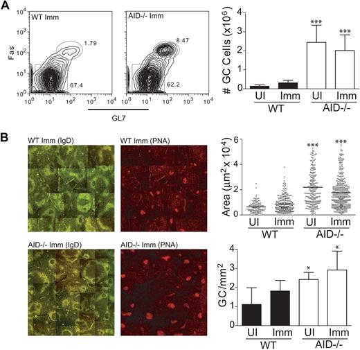 Figure 1. AID deficiency leads to an abnormal accumulation of GC B cells in the spleen. (A) WT and AID−/− mice were immunized with NP-CGG; and 11 days later, cells were harvested to analyze GC formation via flow cytometry. B220+ GC cells were gated based on expression of Fas and GL7 on the cell surface. Absolute numbers of GC B cells were determined before and after immunization. (B) Splenic tissue was sectioned and stained for immunofluorescent microscopy. GCs were identified as IgDlow and PNAhigh (shown in separate panels) at original magnification ×10 using a Leica confocal fluorescent microscope, and individual images were spliced together to form a complete topography of the spleen. Average GC areas and frequency of formation (identified as PNAhighIgDlow clusters located within IgD+ follicles) were determined and illustrated using Volocity software (Improvision) and Photoshop 7.0 (Adobe). Statistics represent comparisons between WT unimmunized (UI) versus AID−/− UI and WT immunized (Imm) versus AID−/− Imm. Data are mean ± SD of n = 5 to 8 mice per genotype. *P ≤ .05. ***P ≤ .001.