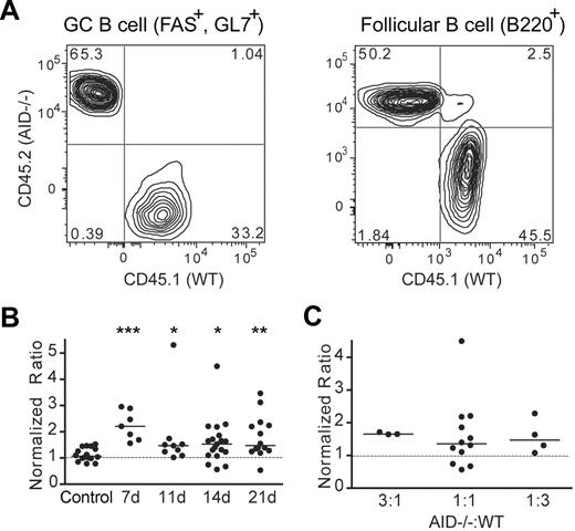 Figure 2. AID−/− GC B cells outnumber WT GC B cells in mixed BM chimeric mice. (A) Mixed BM chimeric mice were immunized with NP-CGG, and splenocytes were analyzed by flow cytometry 7, 11, 14, and 21 days later. B220+ B cells were divided into follicular B cells (GL7− Fas−) or GC B cells (GL7+ Fas+). The level of chimerism among splenic follicular and GC B cells was determined by taking the ratio of the percentage of AID−/− B cells (CD45.1− CD45.2+) to WT B cells (CD45.1+ CD45.2−). The chimerism among GC B cells was then divided by the chimerism among follicular B cells to produce a normalized ratio whereby values < 1 indicate a skew toward AID−/− B cells. (B) Normalized ratios of splenic GC B cells from mixed BM chimeric mice from various time points after immunization were compared with those of control BM chimeric mice harvested at day 14 after immunization. Each dot represents an individual mouse, solid lines represent median values, and the dotted line represents a normalized ratio of 1. Statistics represent comparisons between experimental mice and the control chimeras. Data are pooled from 6 independent experiments. *P ≤ .05; **P ≤ .01; and ***P ≤ .001. (C) Normalized ratios of splenic GC B cells from mixed BM chimeric mice reconstituted with different ratios of AID−/−: WT BM cells and harvested at day 14 after immunization are compared with one another.