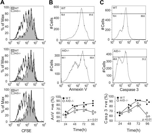 Figure 5. AID−/− B cells show increased proliferation and decreased apoptosis when stimulated ex vivo. (A) B220+ cells were harvested from the spleens of age-matched WT and AID−/− mice. Cells were incubated with CFSE, and proliferation was monitored daily for 96 hours in response to BCR/CD40 engagement. CFSE dilution plots are shown for the 3 replicates 96 hours after stimulation. Stimulated cells were also monitored for apoptosis through the measurement of annexin V binding (B) and caspase 3 activation (C). Representative plots are shown for BCR/CD40-stimulated WT and AID−/− B cells at 96 hours after stimulation. Statistics represent comparisons between WT and AID−/− cells over time. Data are mean ± SD of n = 3 mice per genotype.