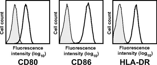 Figure 1. Phenotype of CD40-activated B cells. Surface expression of CD80, CD86, and human leukocyte antigen (HLA)–DR of CD19+ CD40-activated B cells. Results are representative of more than 50 experiments.