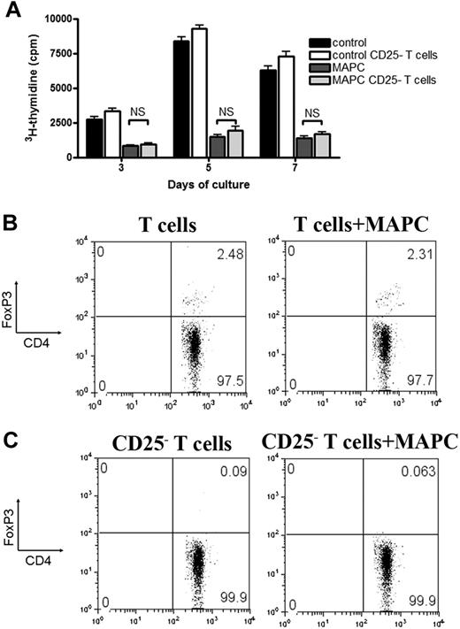 Figure 2. MAPC-mediated suppression in vitro is independent of Tregs. B6 > BALB/c MLR culture was performed using purified T cells or T cells that were CD25-depleted and MAPCs at 1:10 ratios. 3H-thymidine was added on the indicated days, and proliferation was measured (A). FACS analysis was performed on day 5 on the non-CD25–depleted (B) and the CD25-depleted (C) MLR cocultures to determine the percentage of CD4+FoxP3+ T cells.