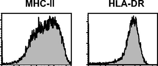 Figure 1. MHC-II and HLR-DR expressions in human CD40-activated B cells.Expression of MHC-II and HLR-DR on the CD40-activated B cells cultured for 8 days. Data shown here are representatives of B cells from 4 different healthy adult donors.