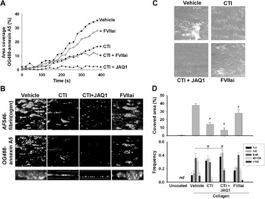 Figure 5. Inhibition of GPVI or FXII suppresses collagen-dependent thrombus formation and platelet procoagulant activity. Blood from wild-type mice was flowed for 4 minutes over type I/H collagen under coagulant condition by coperfusion with CaCl2/MgCl2 buffer at a shear rate of 1000 s−1. Blood was pretreated with saline vehicle (control), CTI (4 μM), JAQ1 mAb (40 μg/mL), and FVIIai (100 nM), as indicated. No tissue factor was added. (A) Accumulation of PS-exposing platelets during perfusion (OG488-annexin A5 added to the blood). Representative experiment of 3 performed. (B) Projected confocal stacks (180 × 180 μm; height, 50 μm) of thrombi costained with AF546-fibrinogen and OG488-annexin A5. Bottom panels (side views) represent thrombus height. (C) Representative phase-contrast images (120 × 120 μm) of thrombi after perfusion. (D top panel) Surface area covered by all thrombi. (Bottom panel) Frequency distribution of small and large platelet thrombi (estimated number of platelets per feature indicated in box). Mean ± SEM; n = 4-5; *P < .05 vs vehicle control; #P < .05, χ2 test.