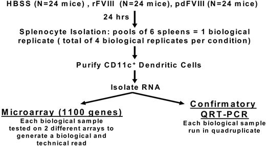 Figure 1. Details of the experimental protocols for the microarray and quantitative RT-PCR studies. There were 4 biologic replicates for each infusate. Each biologic replicate was tested on 2 different arrays, and the quantitative RT-PCR studies were performed in quadruplicate.
