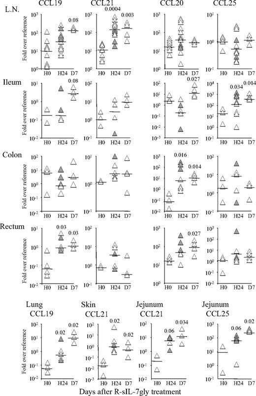 Figure 3. R-sIL-7gly injection induces chemokine production in organs. CCL19, CCL20, CCL21, and CCL25 mRNAs were quantified in lymph nodes, jejunum, ileum, colon, rectum, lung, and skin from healthy rhesus macaques killed at H0, H24, and D7 after R-sIL-7gly injection. Each symbol represents an individual quantification; gray and white symbols at H24 represent 2 individual macaques. Chemokine mRNA quantifications were normalized to HPRT mRNA in each sample and are presented as fold expression over a reference organ in which the expression of the given chemokine was low and stable over the experiment (ie, jejunum for CCL19, skin for CCL20, and lung for both CCL21 and CCL25). Statistical analyses (Mann-Whitney test) between H0 and either H24 or D7 are shown on top. Horizontal bars represent medians.