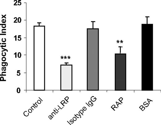 Figure 3. LRP participates in the enhanced phagocytosis of viable WT neutrophils by uPAR−/− macrophages. uPAR−/− macrophages were preincubated without or with 1 μg/mL mouse IgG, anti-LRP antibodies, BSA, or RAP for 30 minutes. The medium was then changed to RPMI plus 5% FBS, and viable WT neutrophils were added for 60 minutes, after which the phagocytic index was determined. **P < .01, compared with the group treated with isotype IgG. ***P < .001, compared with the group treated with BSA.